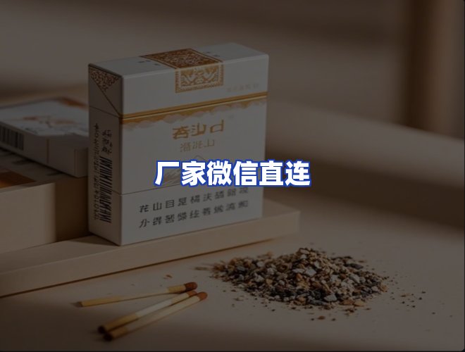 专业团队